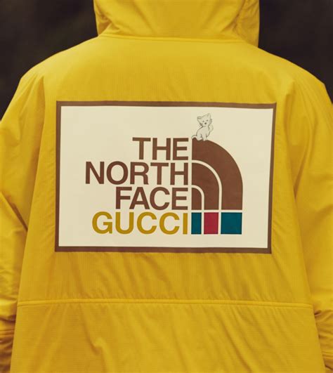 thr north face gucci